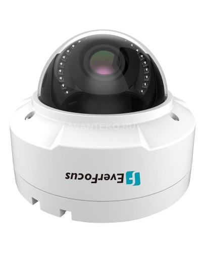 EHN-1250. Видеокамера IP купольная. EverFocus в Белгороде