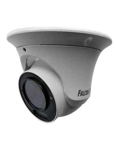 FE-IPC-DV2-40pa. Видеокамера IP купольная. Falcon EYE в Белгороде