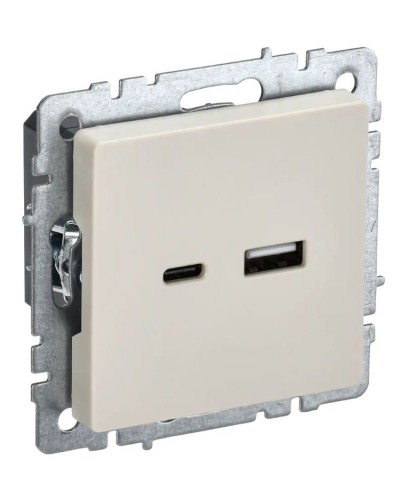 Розетка USB A+C 18Вт РЮ11-1-БрКр бежевый BRITE (BR-U22-018-K10). Розетка USB. IEK в Белгороде