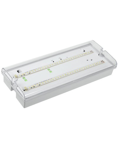 Светильник аварийный ДПА 5042-3 3ч IP65 LIGHTING (LDPA0-5042-3-65-K01). Светильник аварийный универсальный. IEK в Белгороде