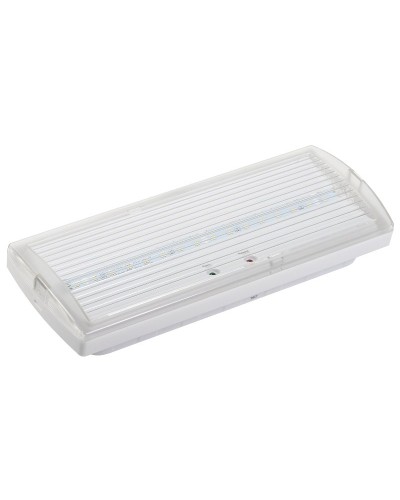 Светильник аварийный ДПА 5030-3 3ч IP20 LIGHTING (LDPA0-5030-3H-K01). Светильник аварийный постоянного действия. IEK в Белгороде