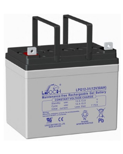 LEOCH LPG 12-31. Аккумулятор герметичный свинцово-кислотный. LEOCH в Белгороде