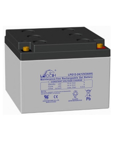LEOCH LPG 12-24. Аккумулятор герметичный свинцово-кислотный. LEOCH в Белгороде
