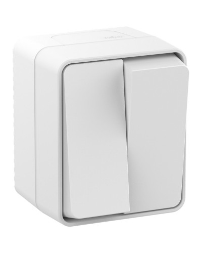 AtlasDesign PROFI54 выключатель 2-клавишный, открытой установки, белый (ATN540151). Выключатель. Systeme Electric в Белгороде