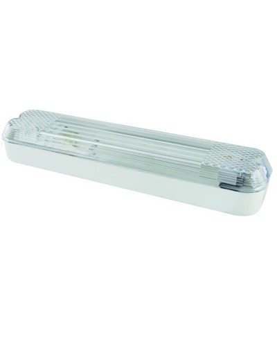 ДПБ 01-2х6-001 12 Вт, LED, 1000 лм, 4000 К, IP40. Светильник вандалоустойчивый . TDM ЕLECTRIC в Белгороде