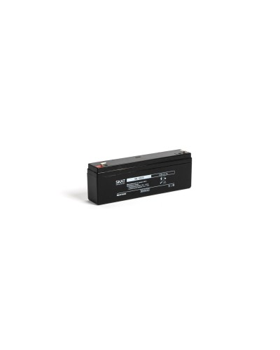 SKAT SB 12022 (2539). Аккумулятор герметичный свинцово-кислотный. Бастион в Белгороде
