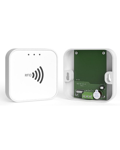 RFID-TM. Считыватель RFID. Ритм в Белгороде