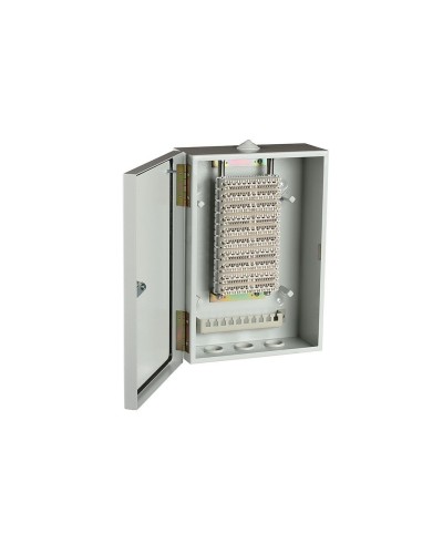 ШРН-В/100-Р (120908-00122). Шкаф ШРН-В/100-Р, плинт ПВТ-10Р-5е. ССД (Связьстройдеталь) в Белгороде