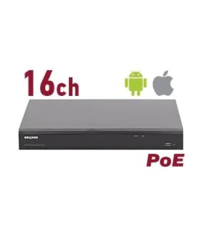 RK2216-P. Видеорегистратор IP 16-канальный. Beward в Белгороде